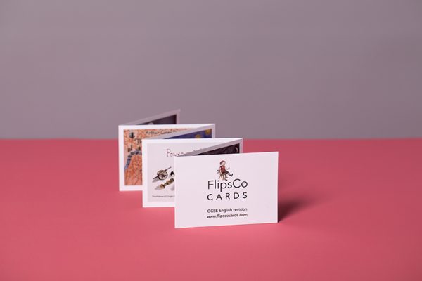 Custom printed mini concertina fold leaflet with Newton Print