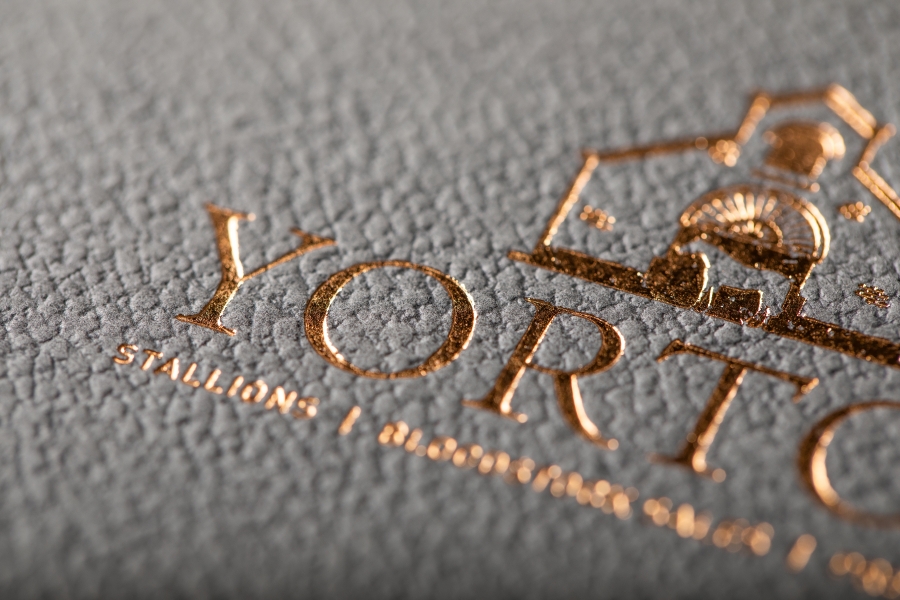 Yorton Bronze Foil Blocked Perfect Bound Brochure Printing with Gmund Embossed cover